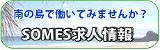 WEB種子島求人情報
