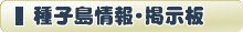 WEB種子島　種子島情報・掲示板