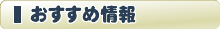 WEB種子島おすすめ情報