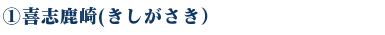 WEB種子島　喜志鹿崎ポイント