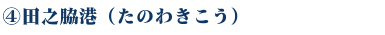 WEB種子島　田之脇ポイント