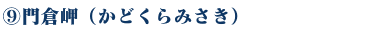 WEB種子島　門倉岬ポイント