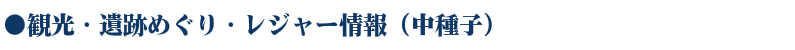 WEB種子島　観光・遺跡めぐり・レジャー情報（中種子）