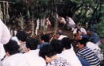 WEB種子島 広田石塔祭り1