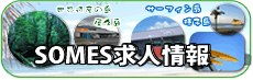WEB種子島求人情報