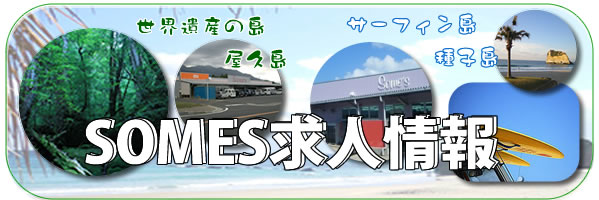 WEB種子島求人情報